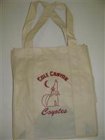 Reusable Bag1 